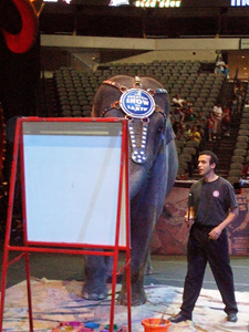 Ringling Bros Circus 16.JPG